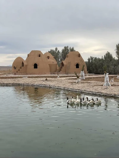 Moshajari Desert Resort & Farm