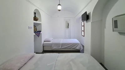 Afzal Traditional House
