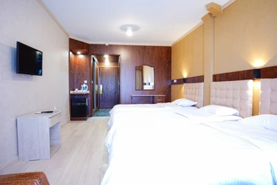 Shadi Hotel