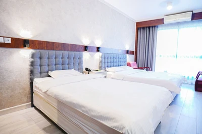 Shadi Hotel