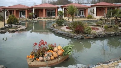 Swan Farm