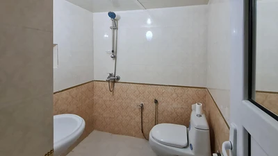 Afzal Traditional House